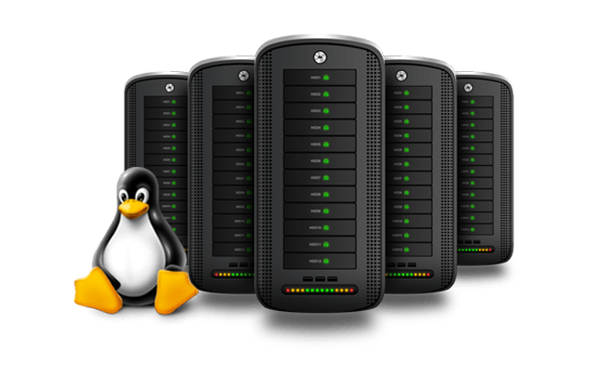 Linux Hosting UAE